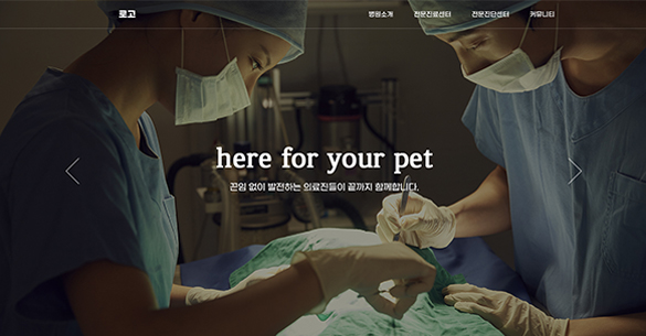 24시동물병원포트폴리오